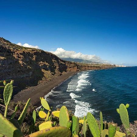Dragos Del Mar , Espacio Natural La Orotava Exteriér fotografie