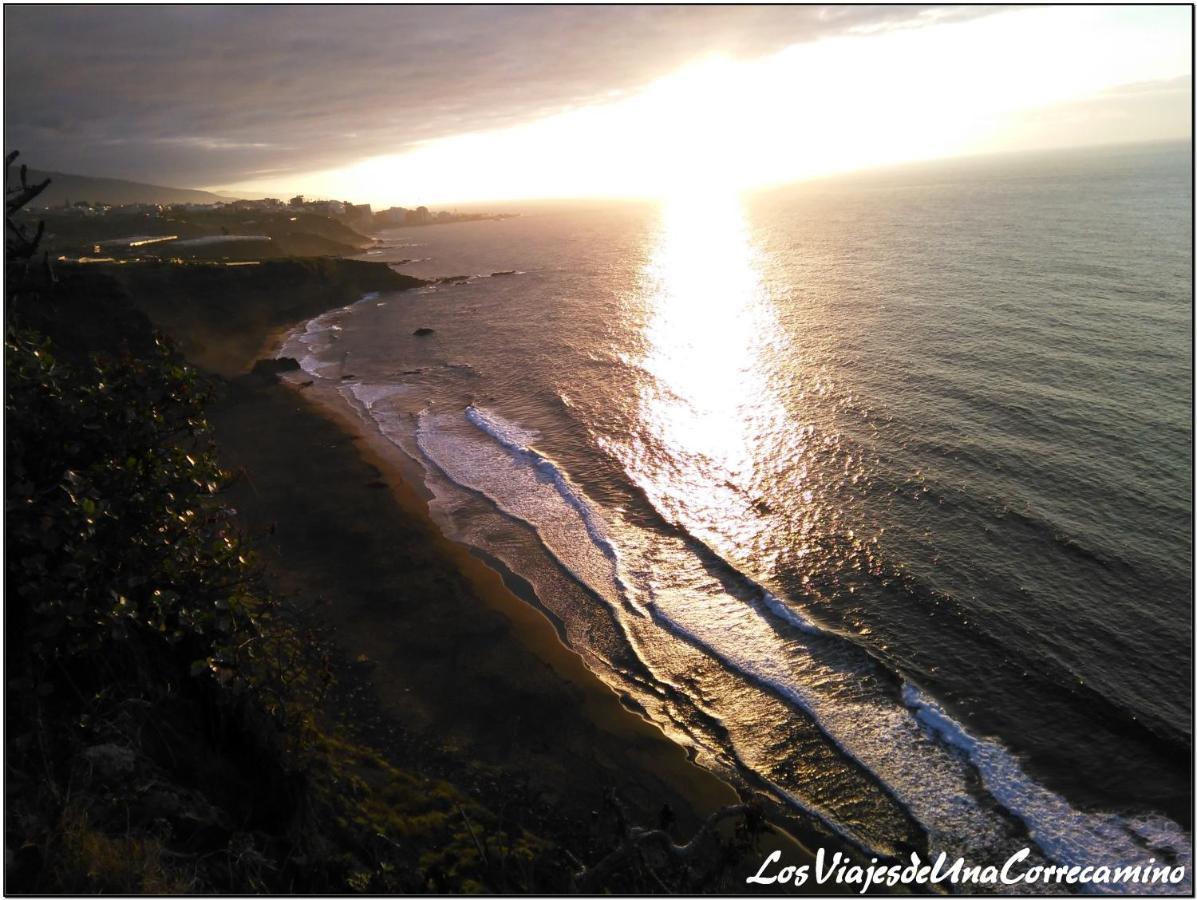 Dragos Del Mar , Espacio Natural La Orotava Exteriér fotografie
