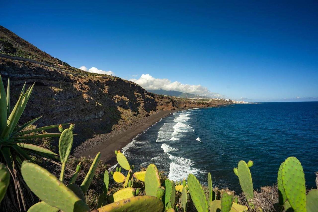 Dragos Del Mar , Espacio Natural La Orotava Exteriér fotografie